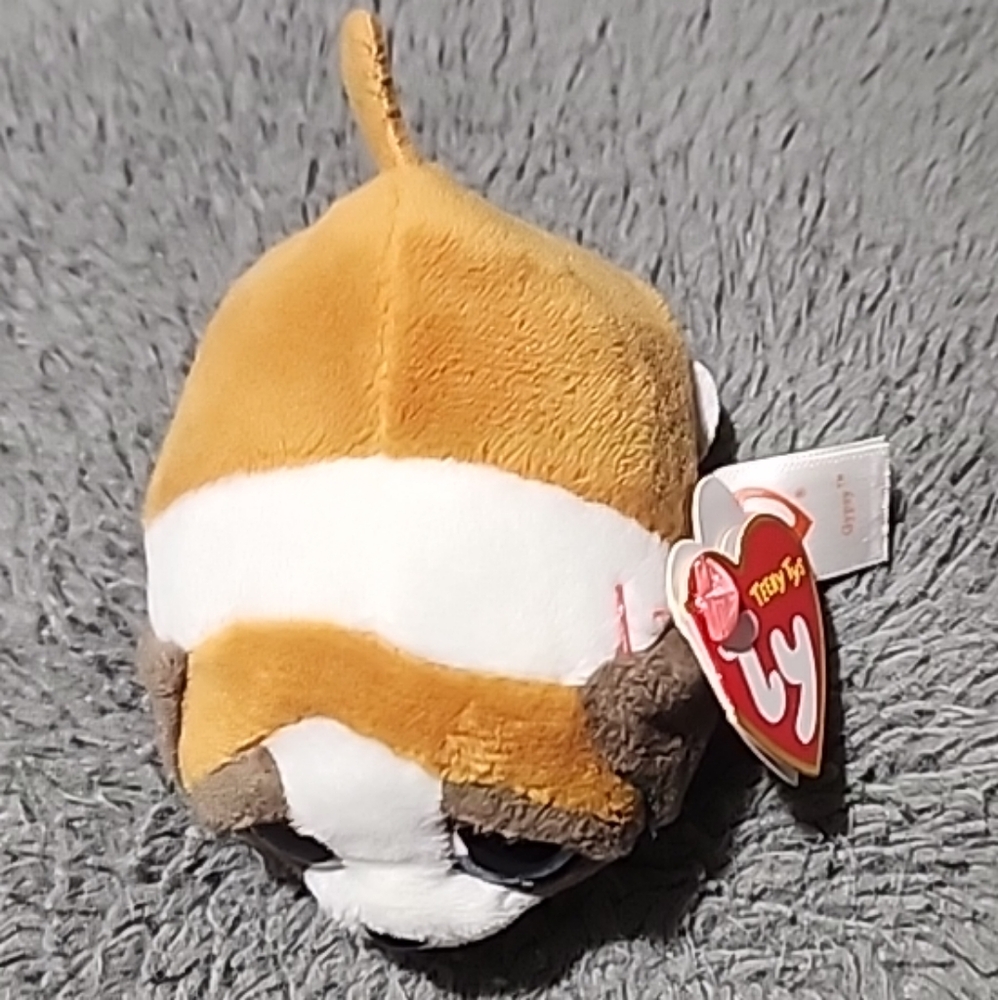 TY Beanie Boos Teeny Tys 4" Gypsy Dog Stackable Plush Retired 2016